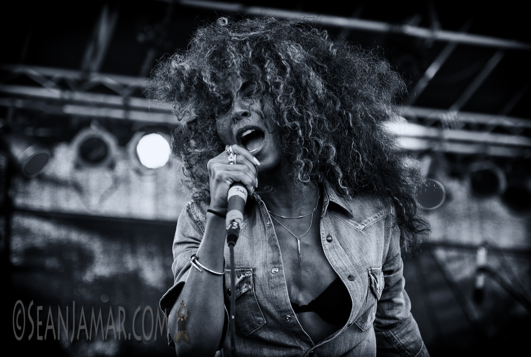 Live Performances