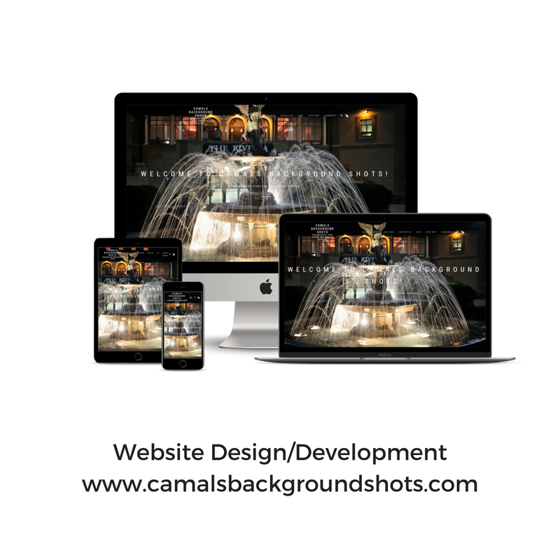 Website design/development