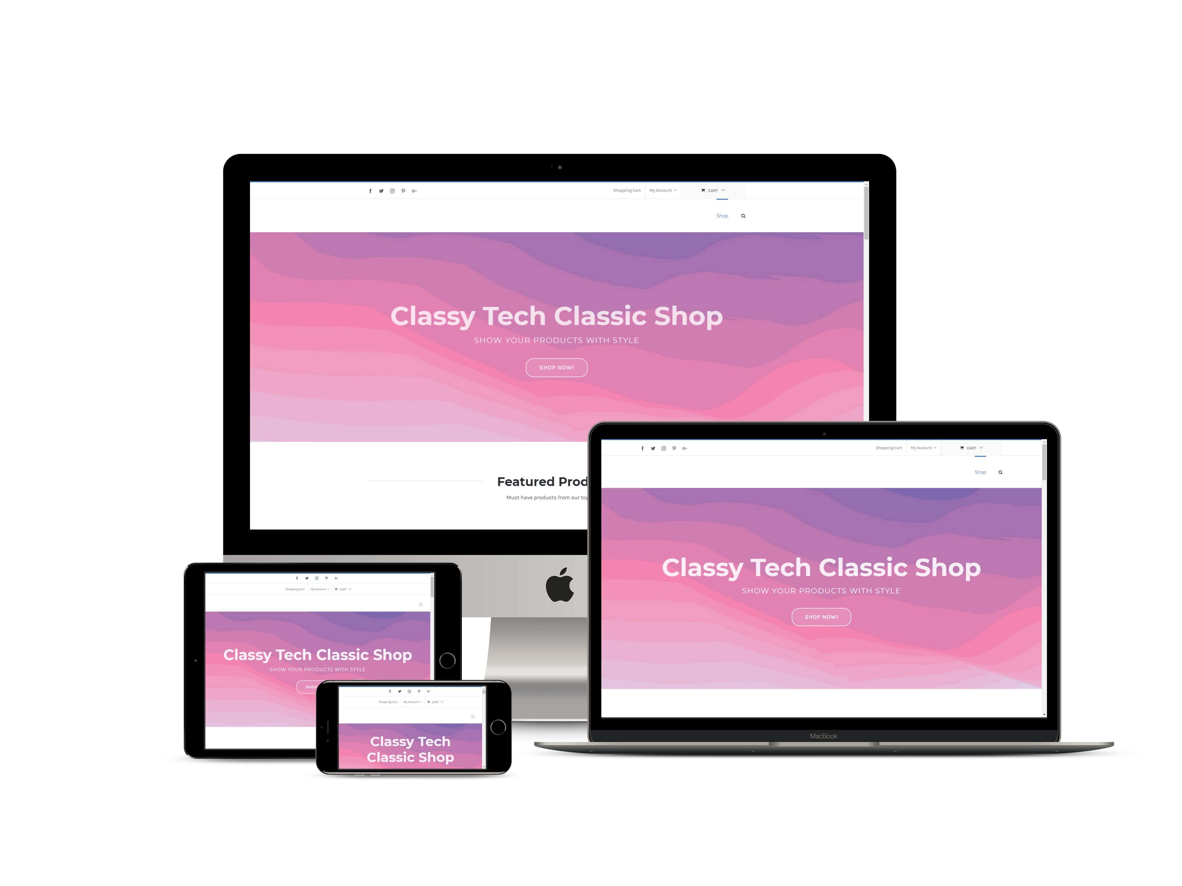 Website design/development