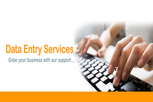 Data entry services.