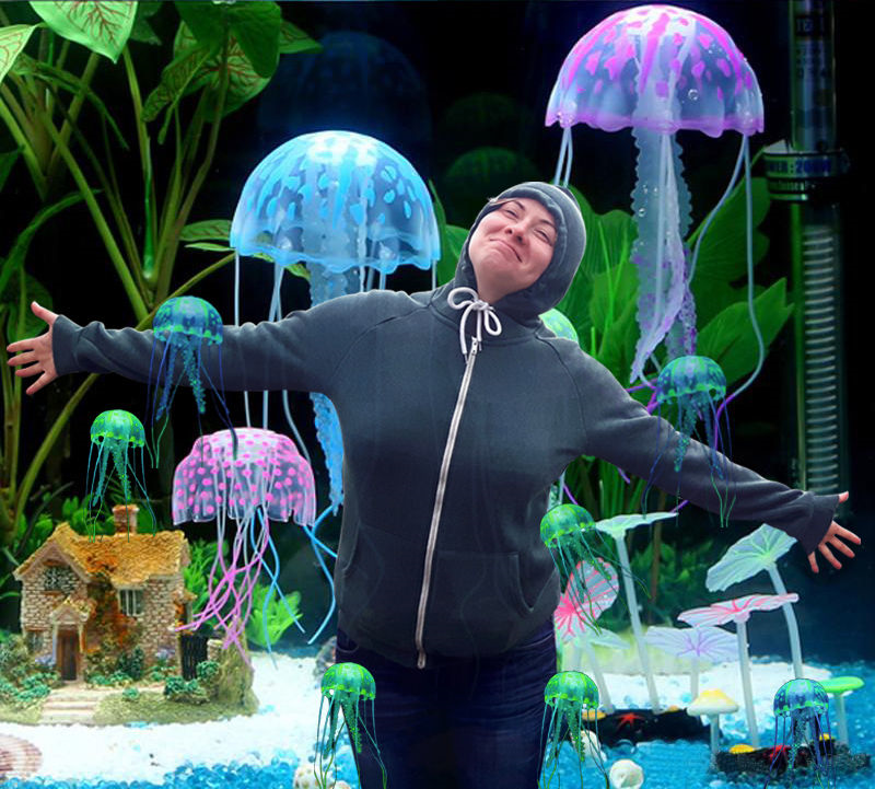 Photomanipulation for a birthday with jellyfishs