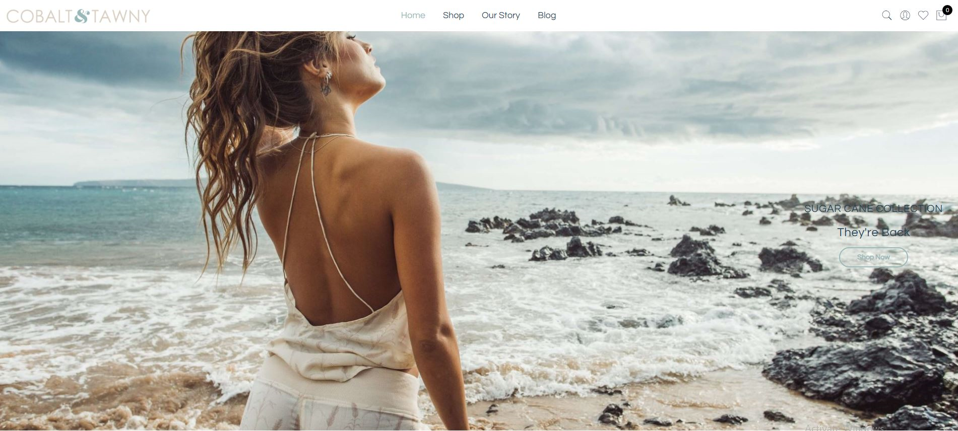 magento website development1