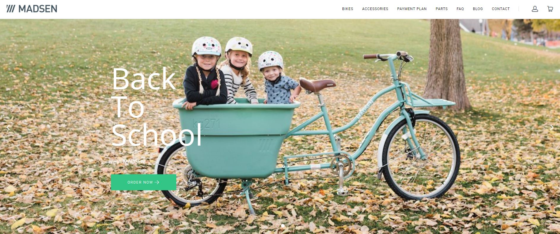 shopify website development