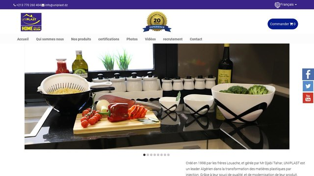 multi language website