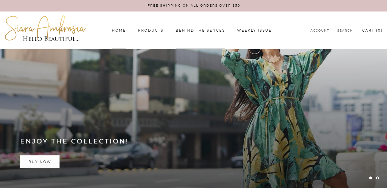 Branded Clothing Store