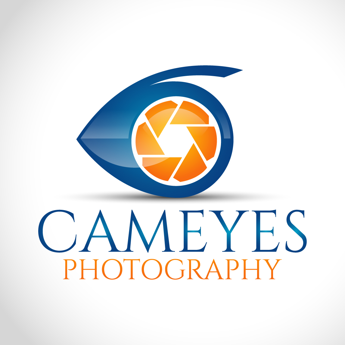 Custom Logo Design