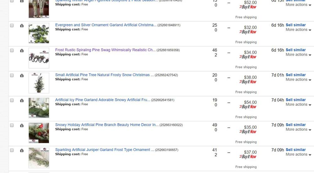 eBay Listing