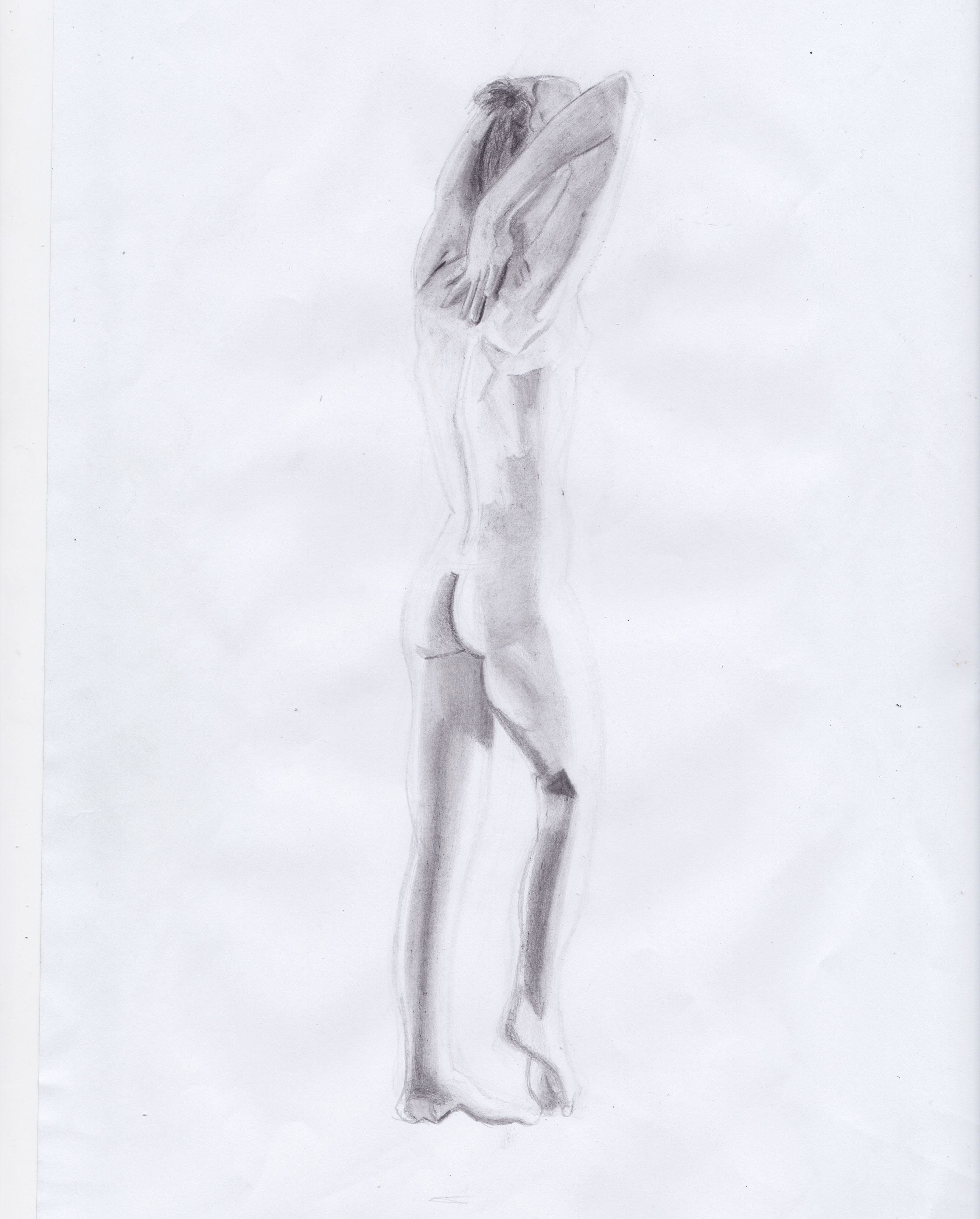 Female Anatomy Illustration
