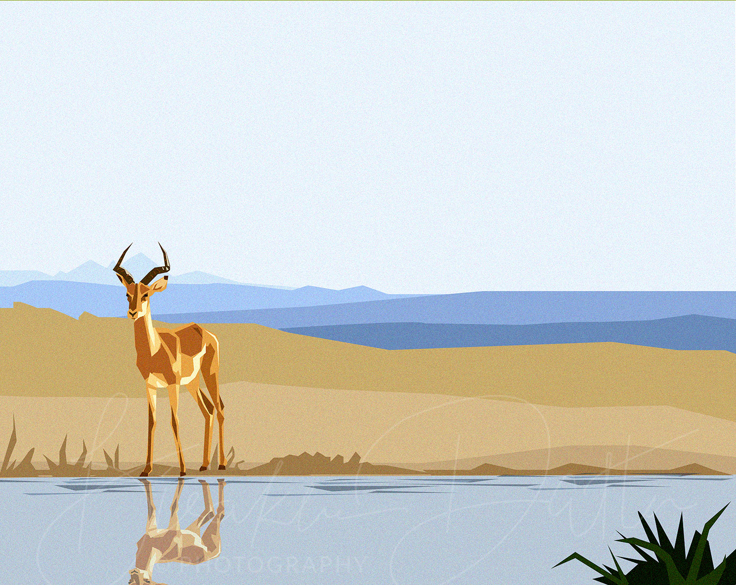impala illustration