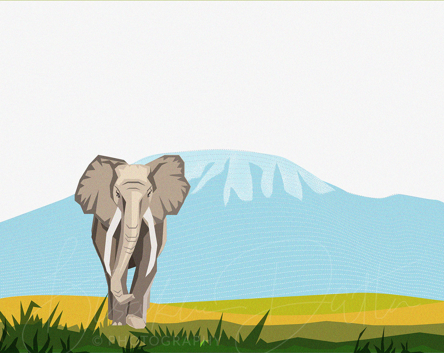Elephant illustration