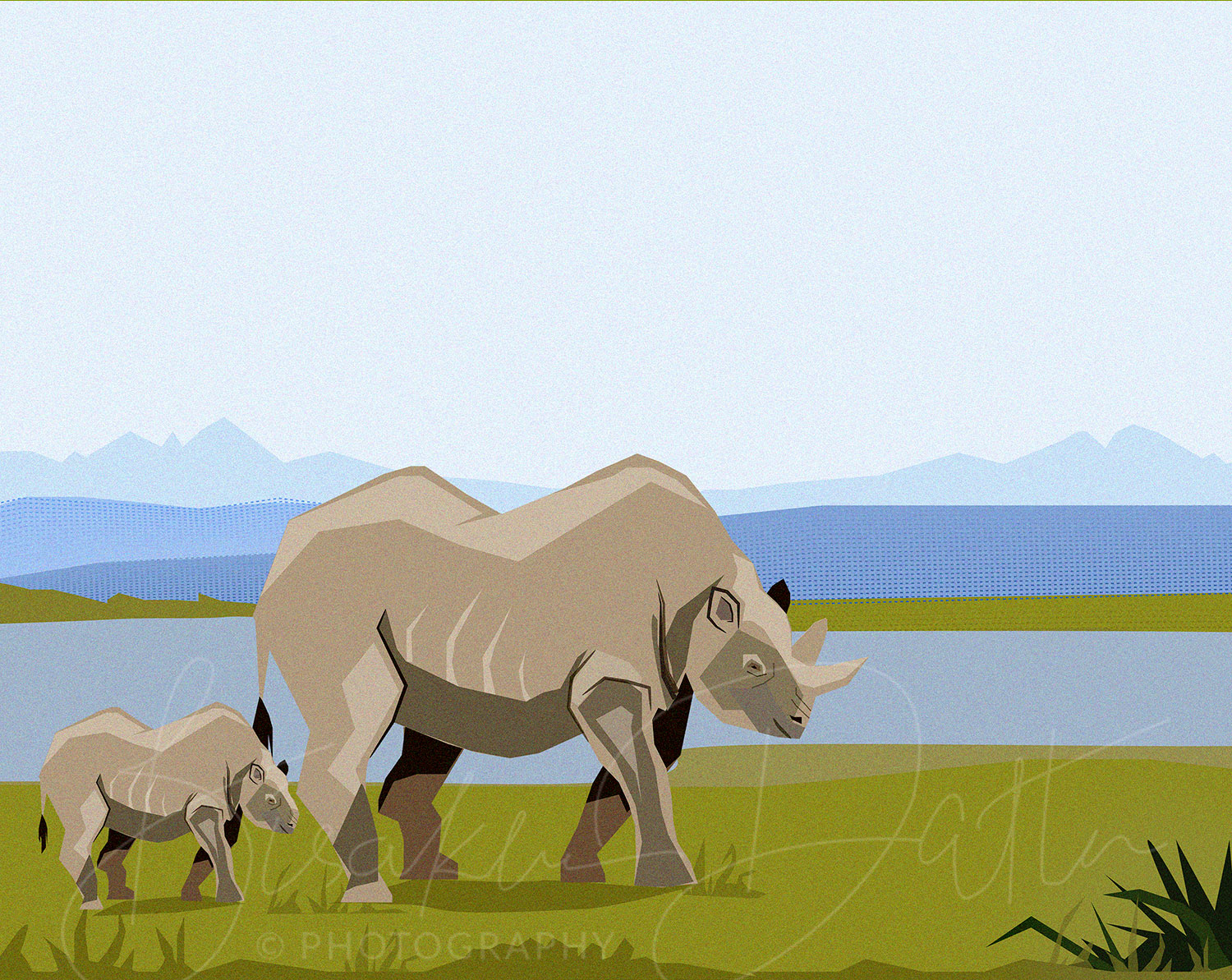Rhinoceros illustration