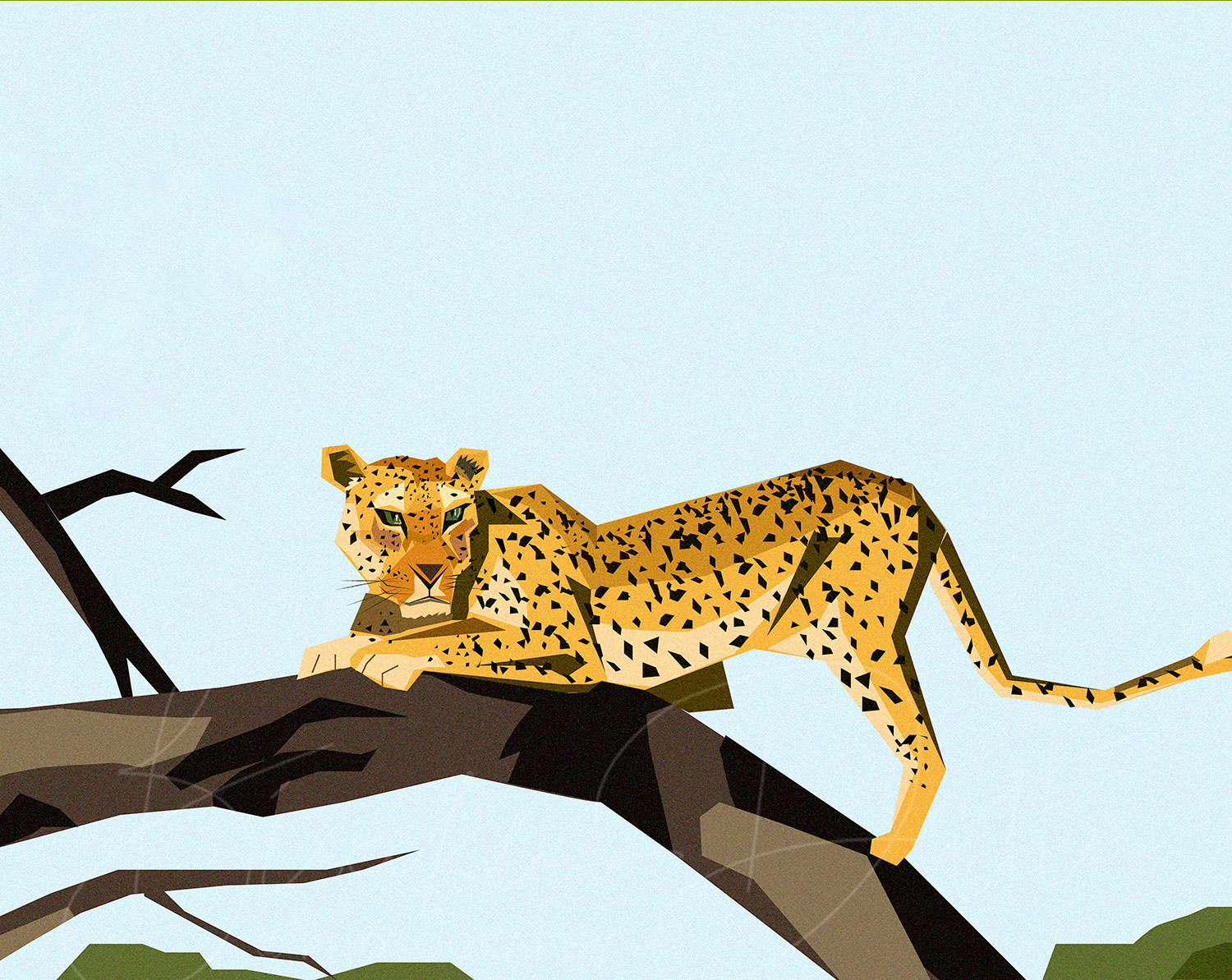 Leopard illustration
