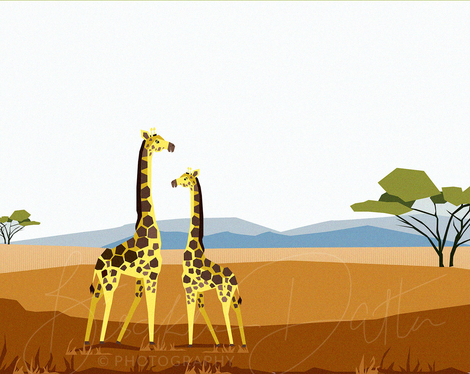 Giraffe illustration