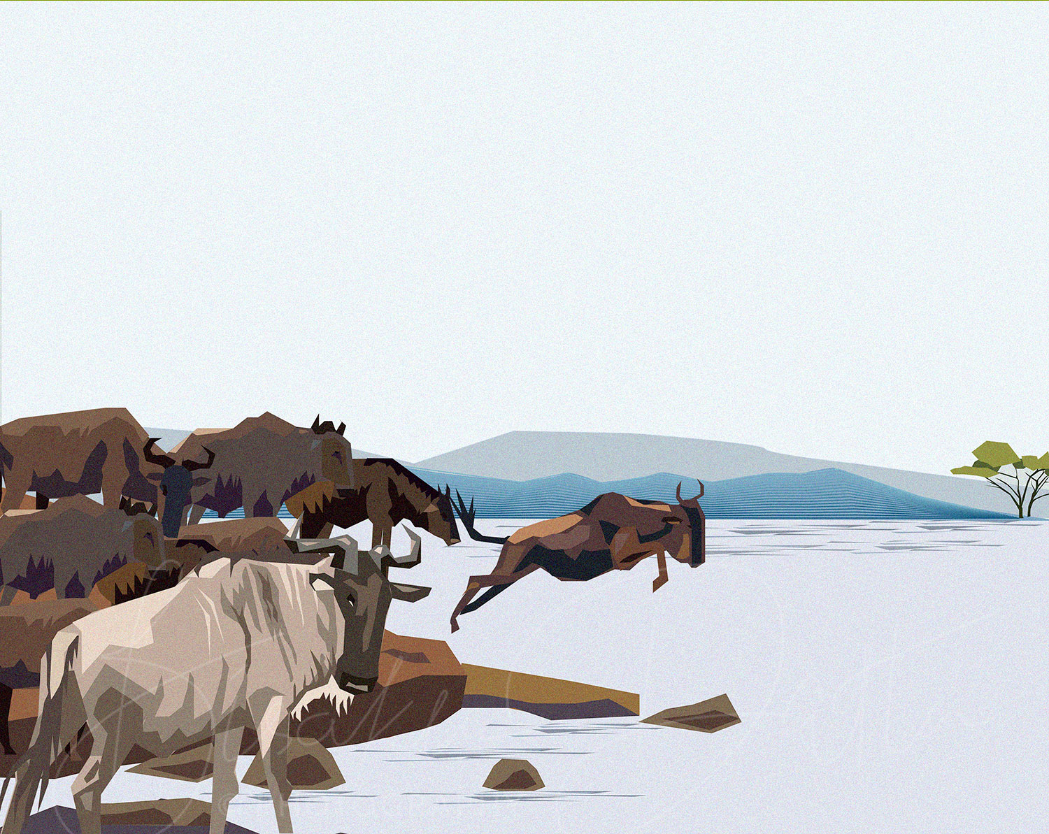 wildebeest illustration