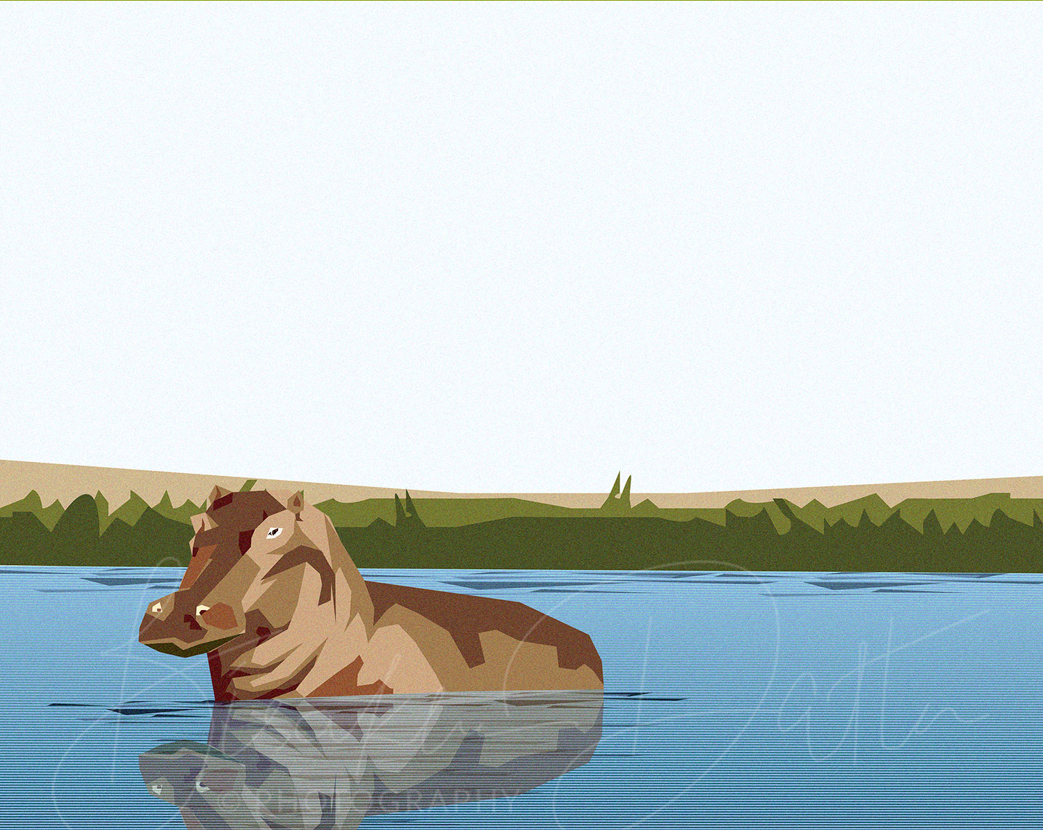 hippopotamus illustration