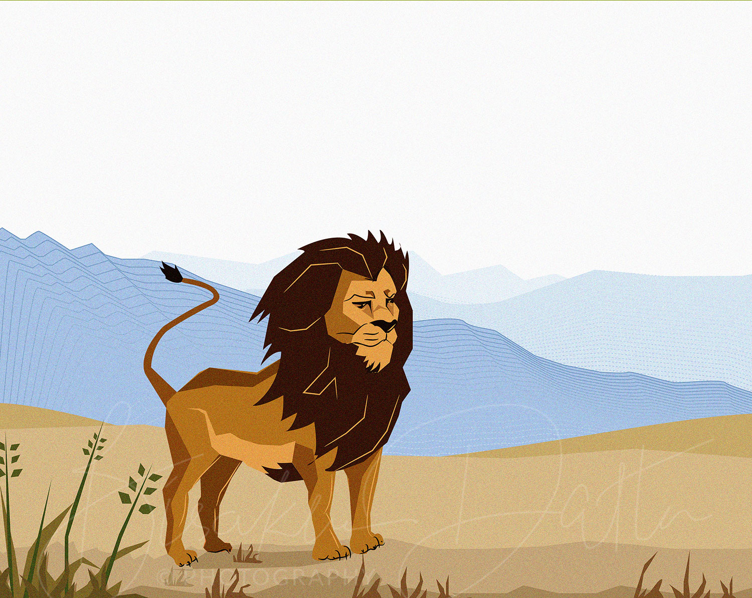 Lion illustration