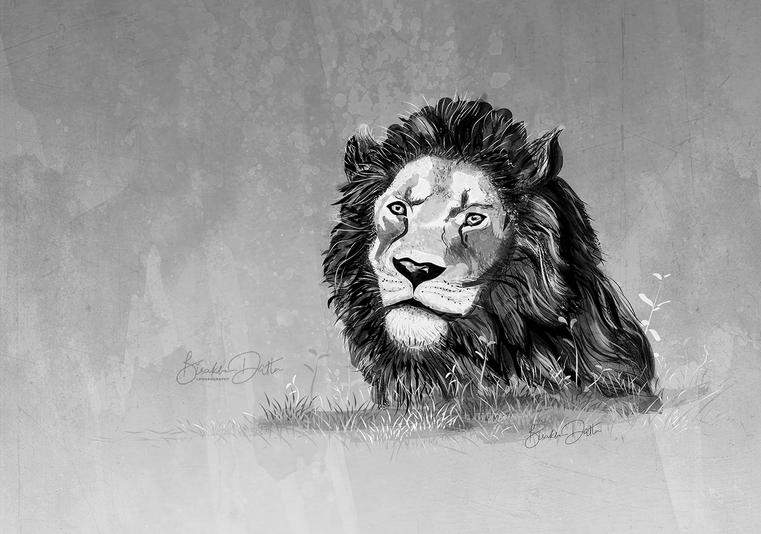 lion illustration