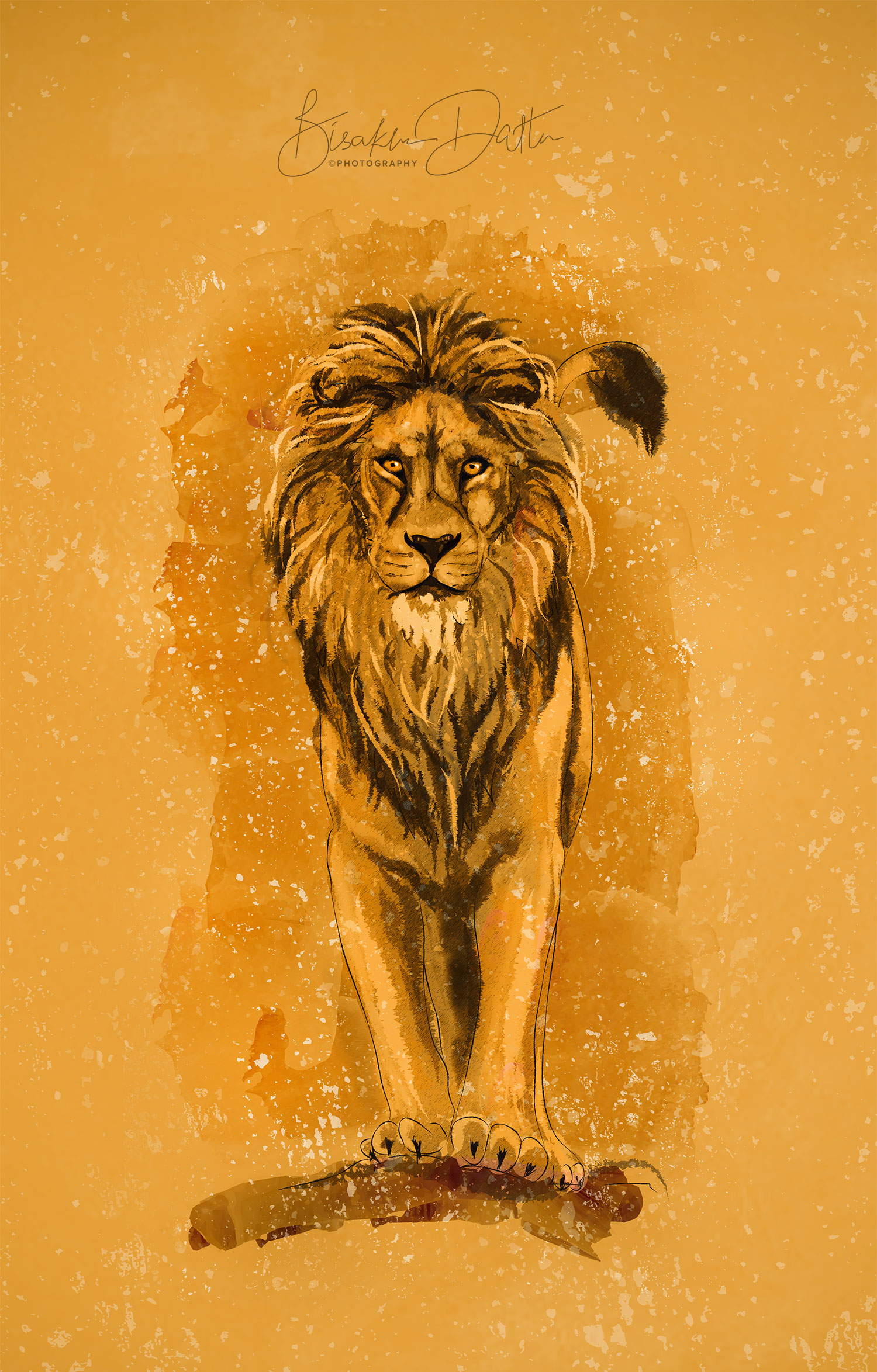 The lion king
