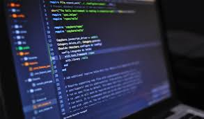 Software Developer,Network Admin and Data analyst and Data base Expert