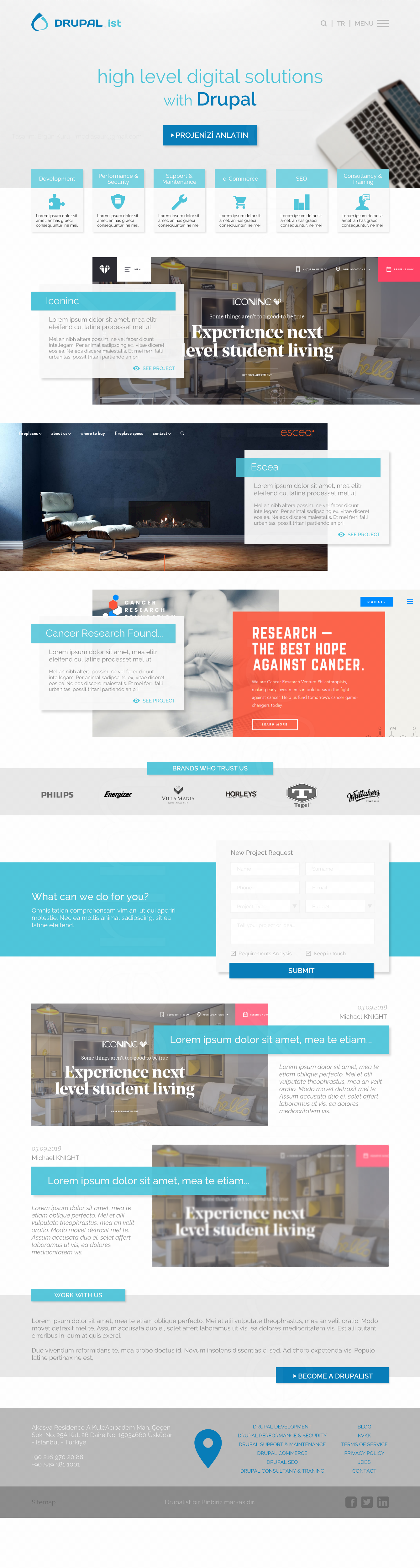 Website design