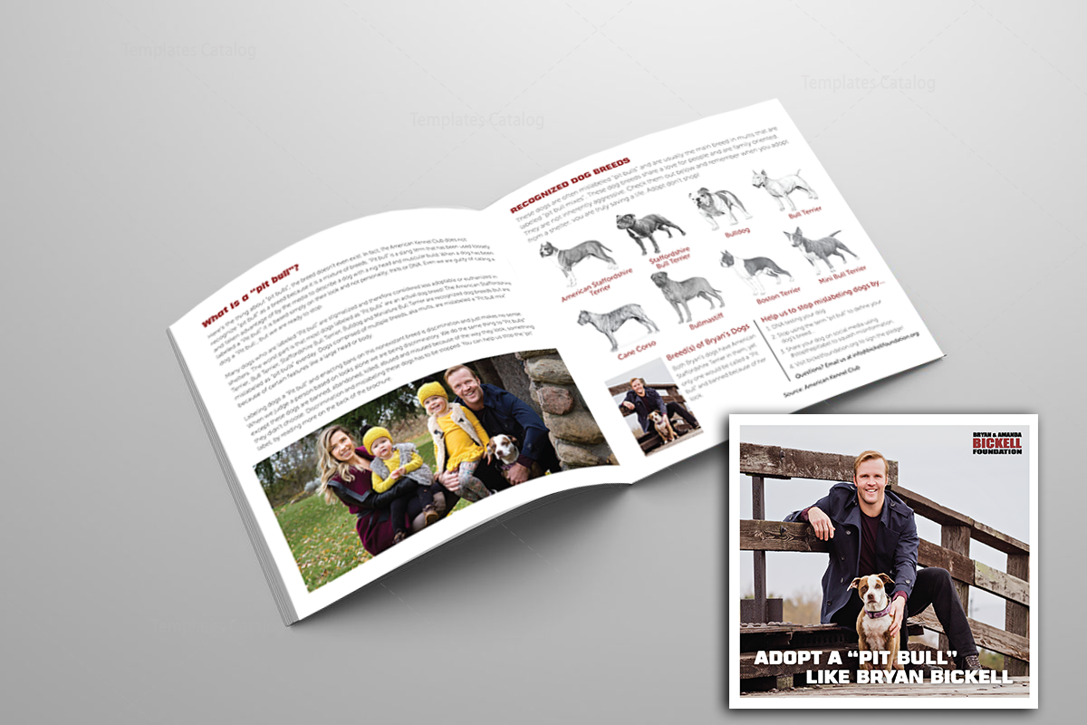 Print Brochure/Booklet