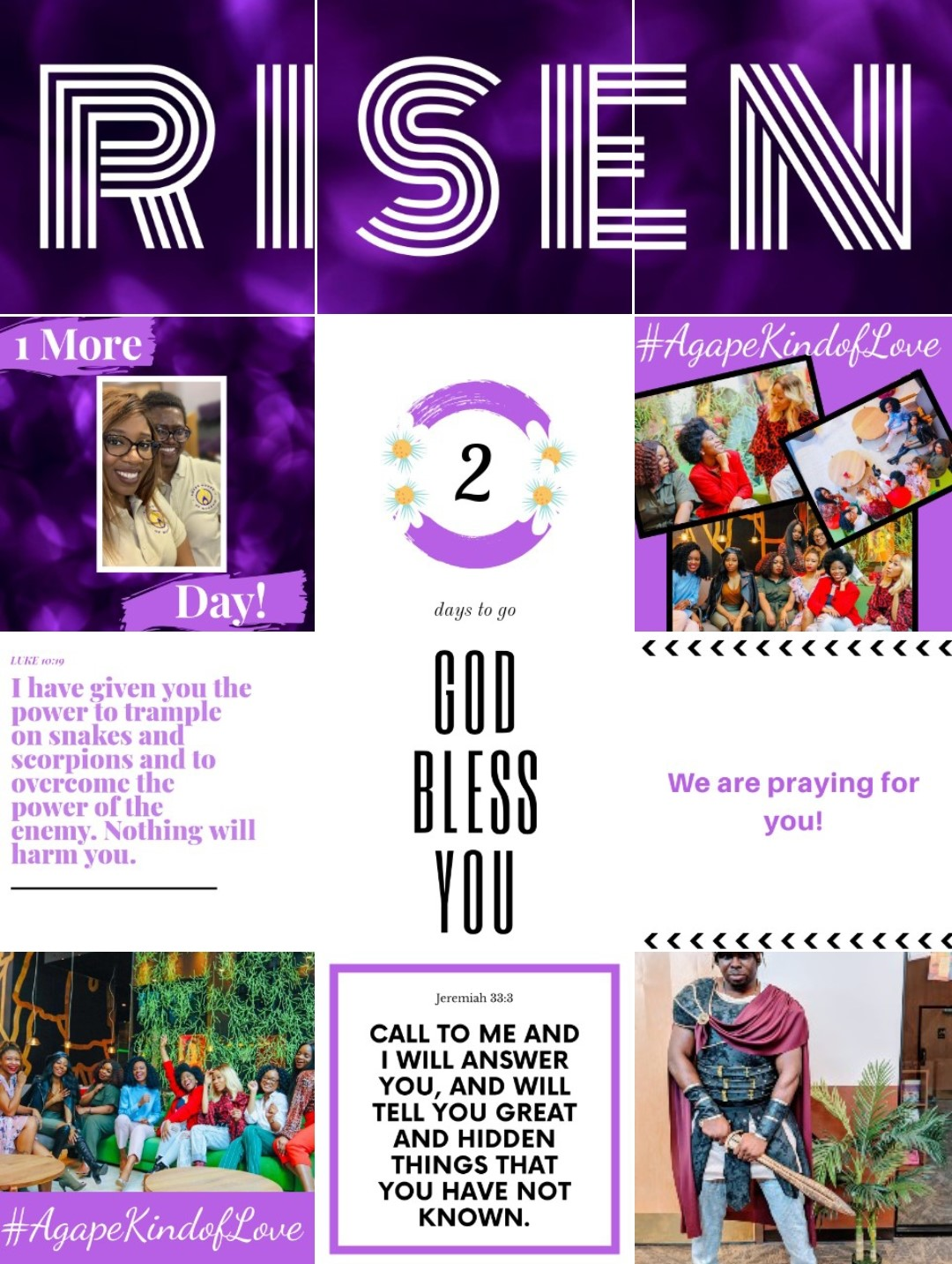 Instagram Feed Layout