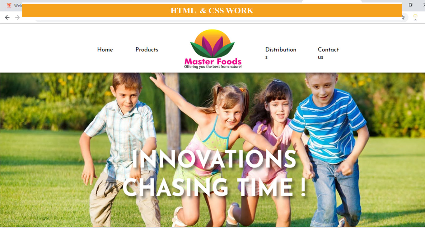 Web Designing / Worpress/ Css/ Html/ PSD