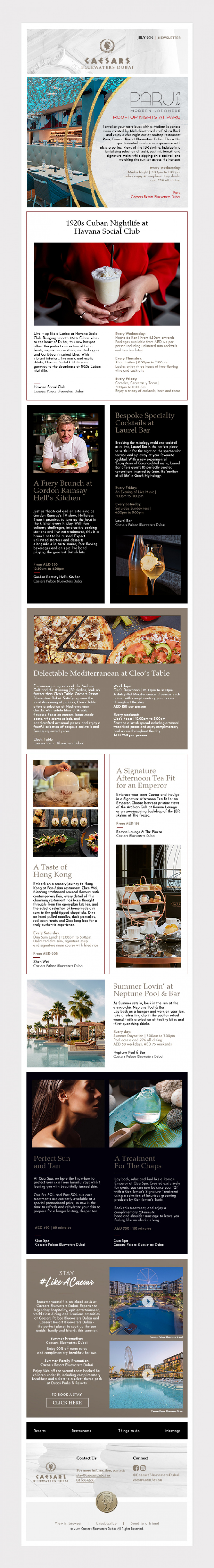 Email Newsletter Development