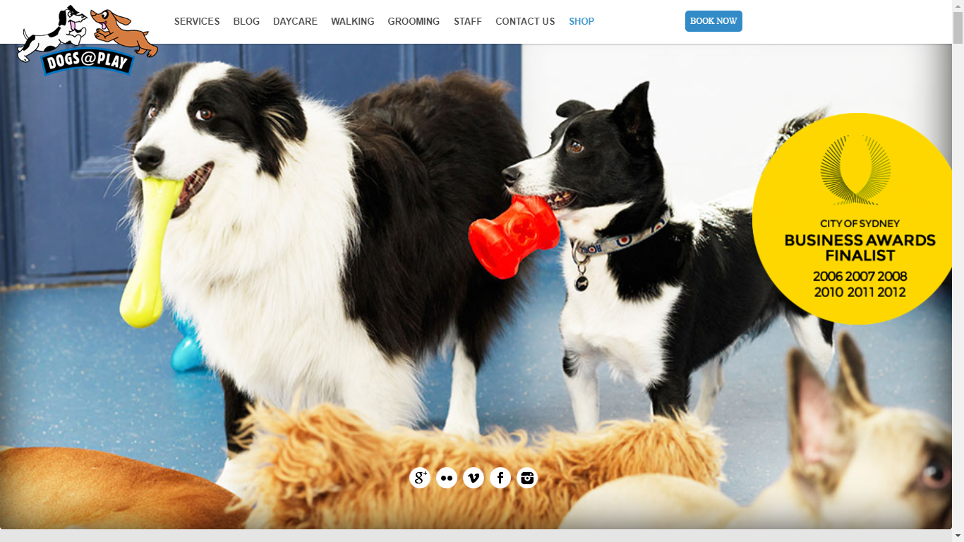 pet service website 