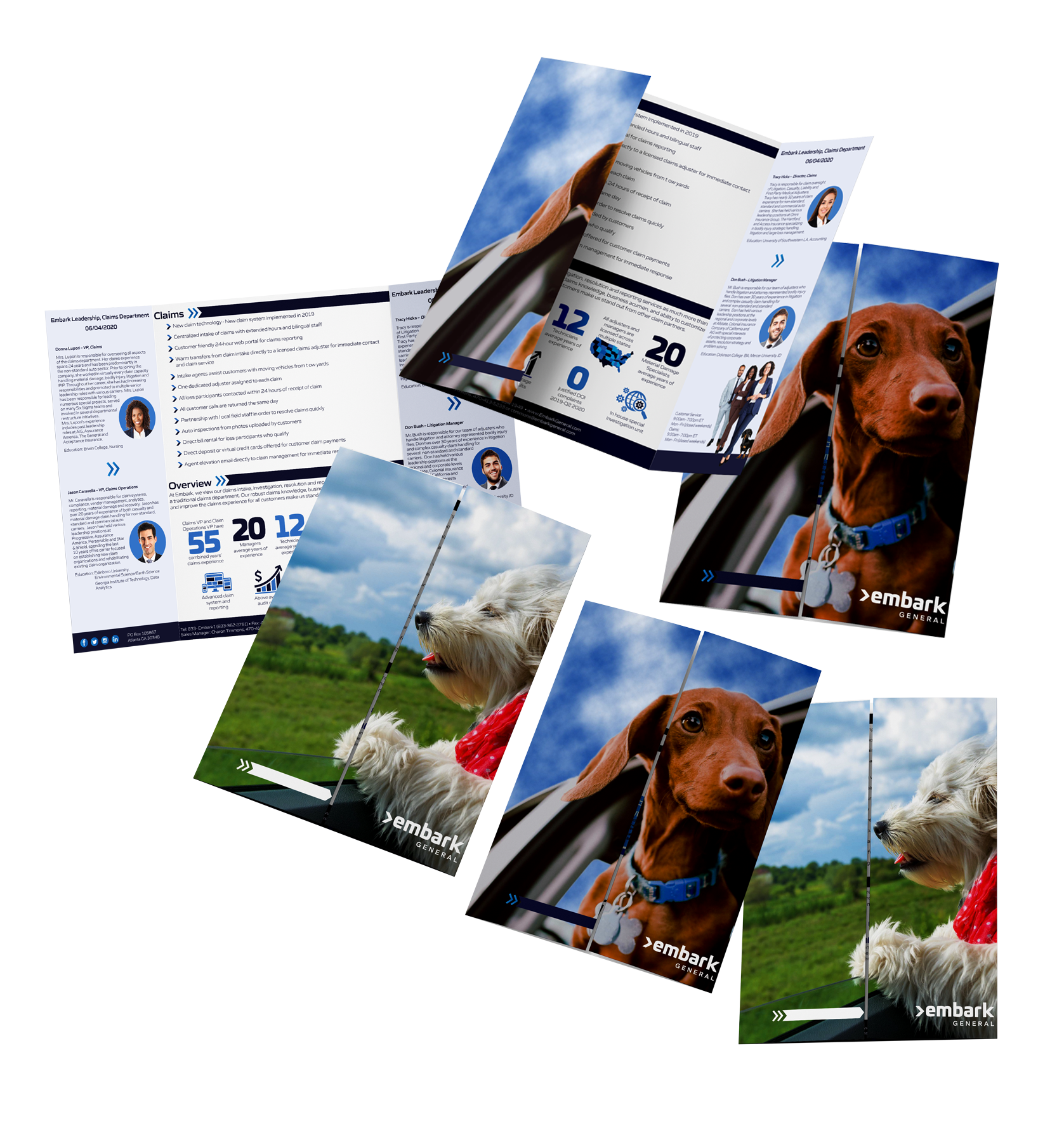 Brochure - insurance