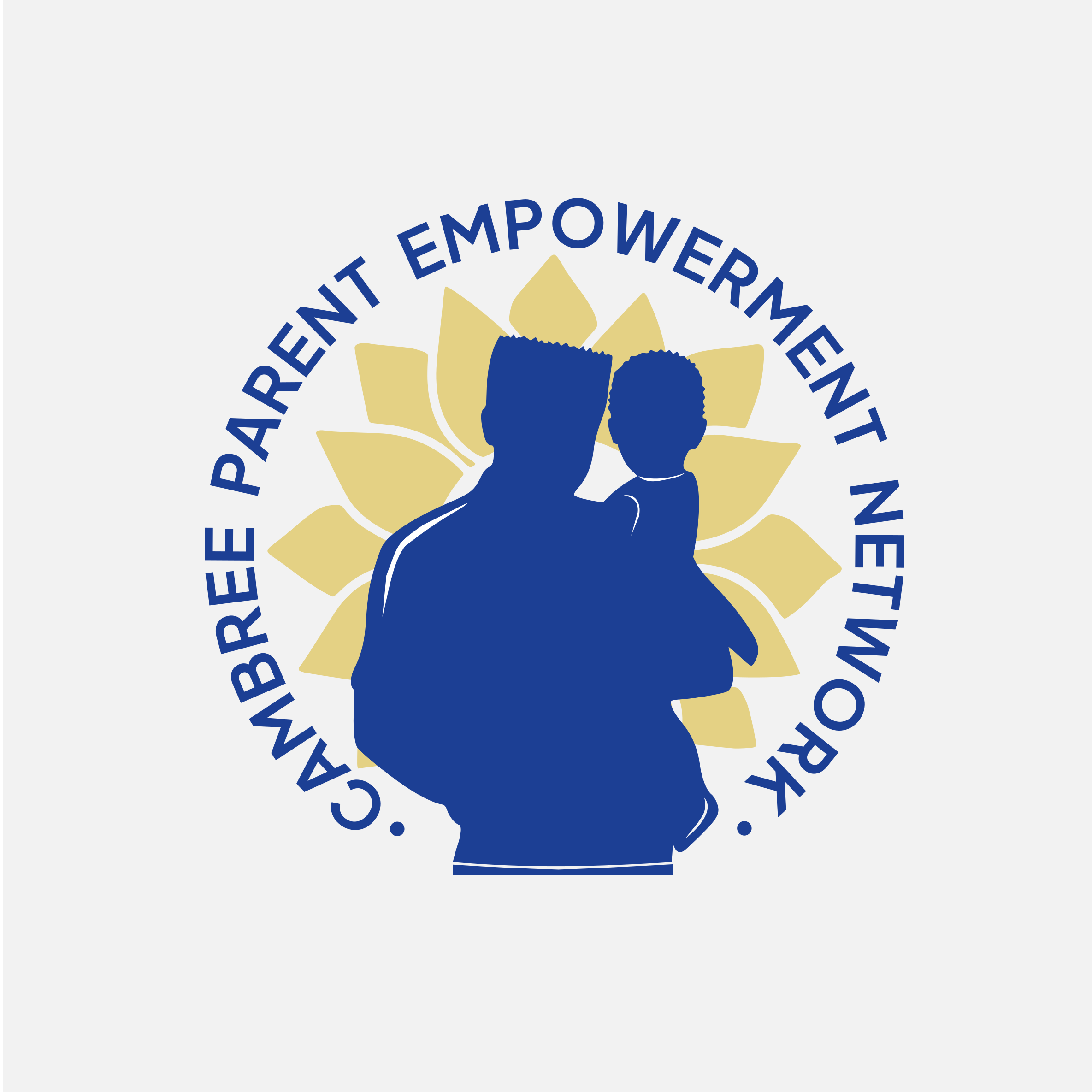 Non Profit