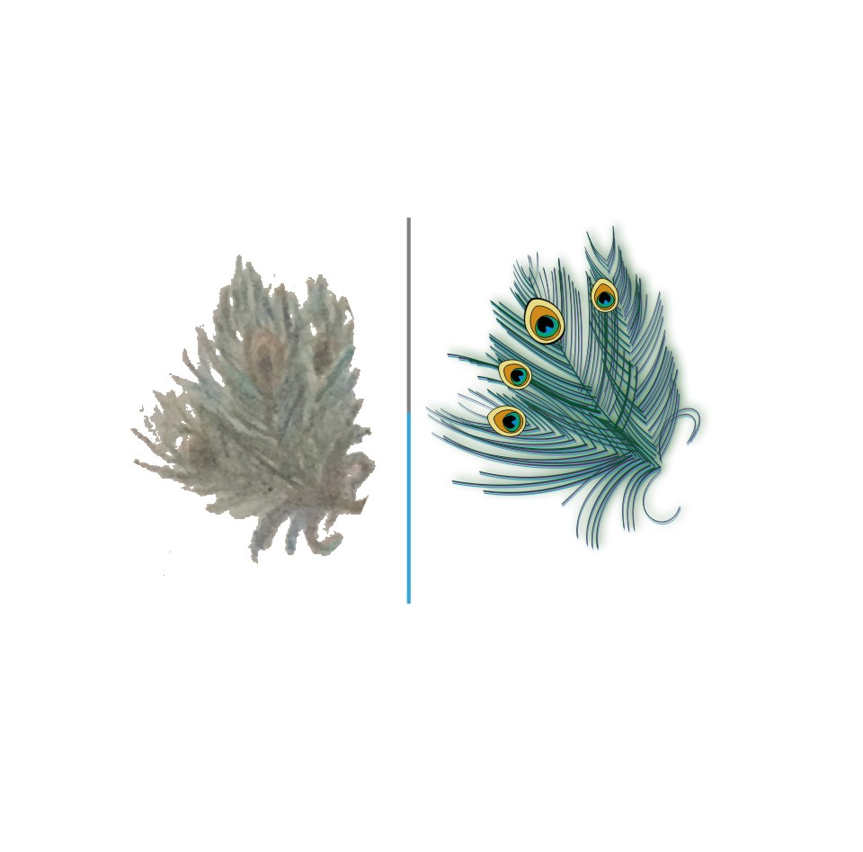 Vectorize low-resolution Images