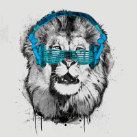 Web Lion Designs - Web Designer