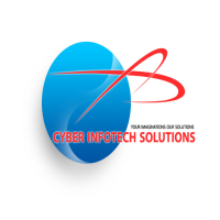 Cit Sols - Web Developer