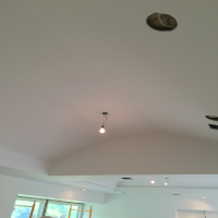 mesua construction - Professional Painter