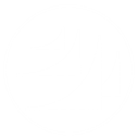 Asdf Asdf - Software Developer