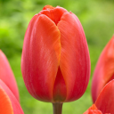 Smita K - Administrative Assistant