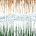 Carolyn Crosby - Graphic Designer