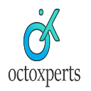 Octoxperts - Web Developer