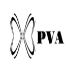 Publich Virtual Assistants - Consultant
