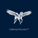 Callitray A&D - Civil Engineer