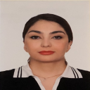Negar Najafi - Front End Developer