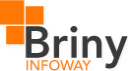 Briny Infoway - Full Stack Developer