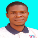Adegoke Bolade - Article Writer