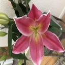 Jennifer Drechsler - Business Coach