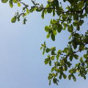 Tarek Ahamed - Social Media Marketer