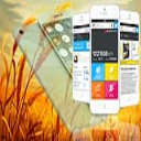 Miron Sokolowski - Web Developer