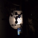 Braden Creasy - Videographer