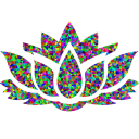 Apyphanie Barnhill - Web Designer